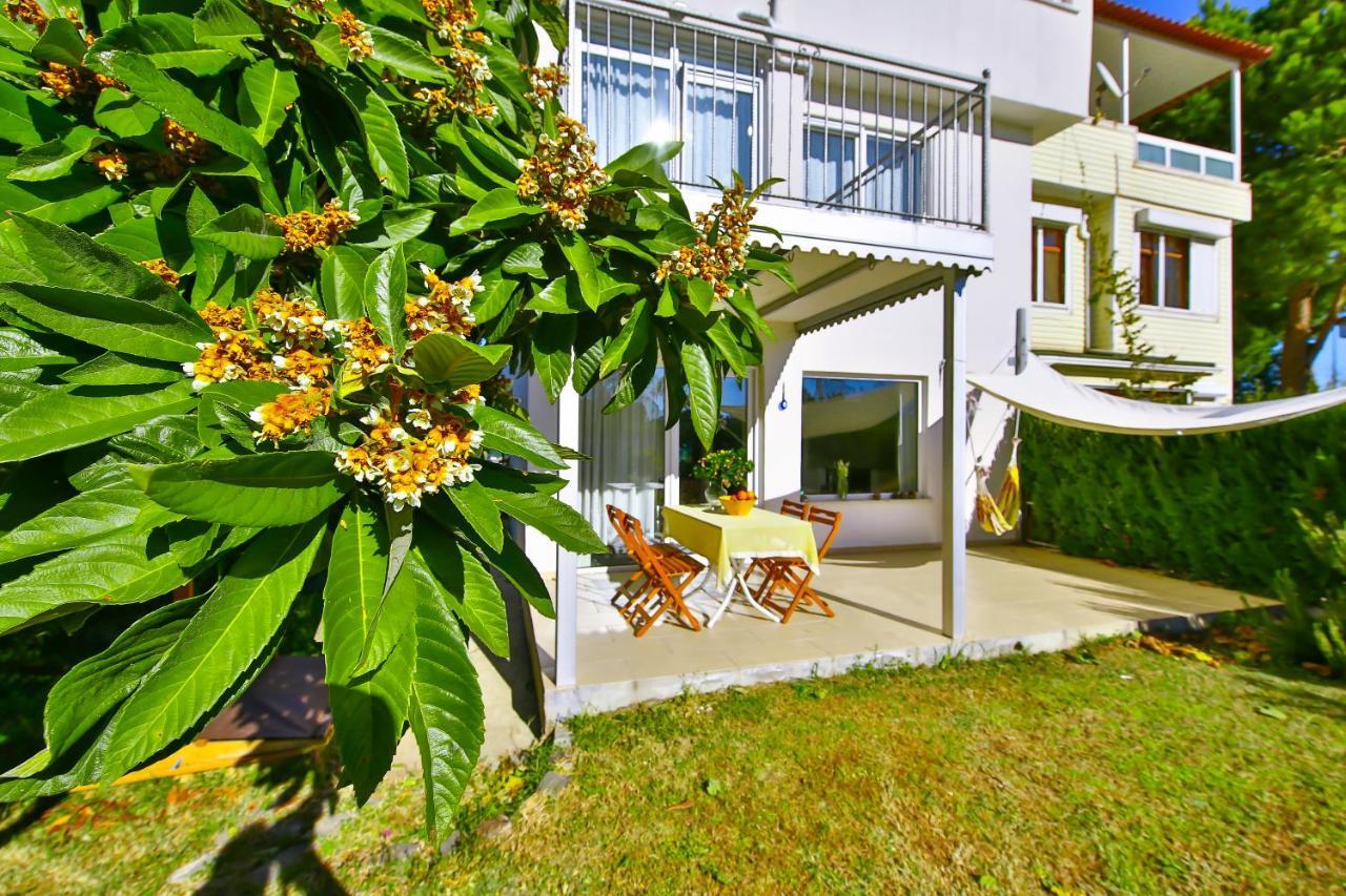 Villa Belinda 贝莱克 外观 照片